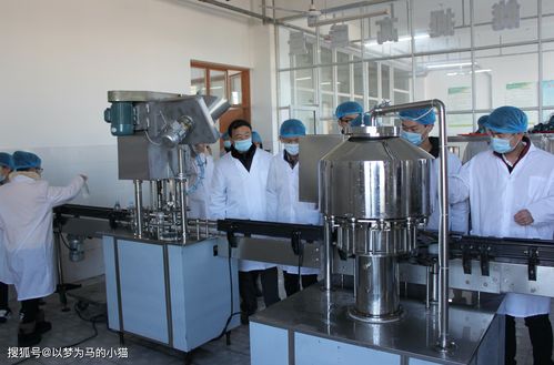 这8个专业要读研,研究生毕业才好就业,没考研打算要慎重考虑