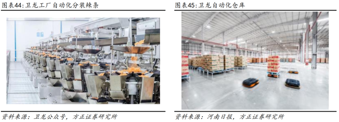 深度 | 卫龙:渠道改革持续深化,霸道熊猫及小魔女新品上市,辣味龙头焕发第二春