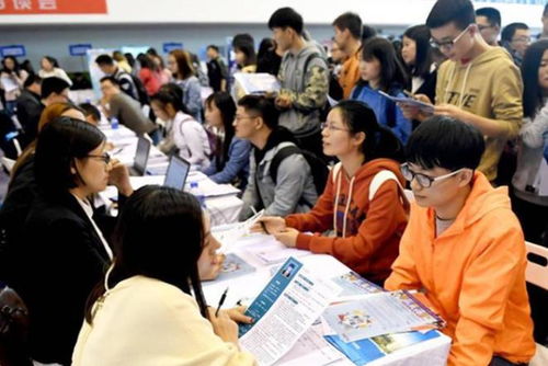 研究生学历才能报考的岗位,年薪真的很高,错过了机会真的后悔